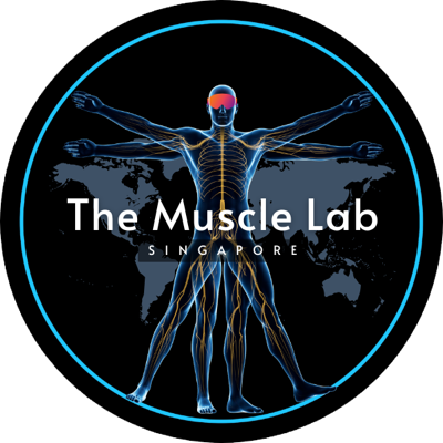 Muscle Lab