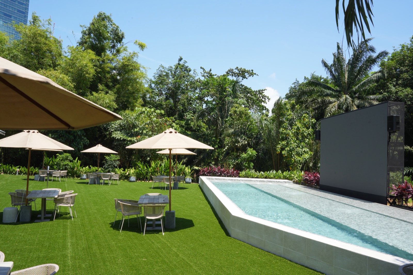 A long lap pool along the edge of a turf lawn, cream parasols over low tables and chairs on the grass, dense palms and trees behind